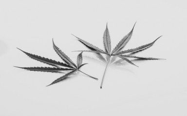 Детоксикация от наркотиков в Боровске